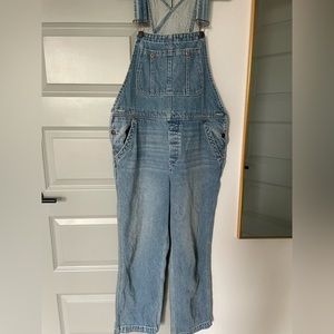 We the Free Jean Overalls